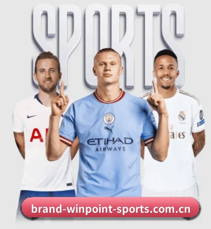 赢点体育登陆 APP 界面